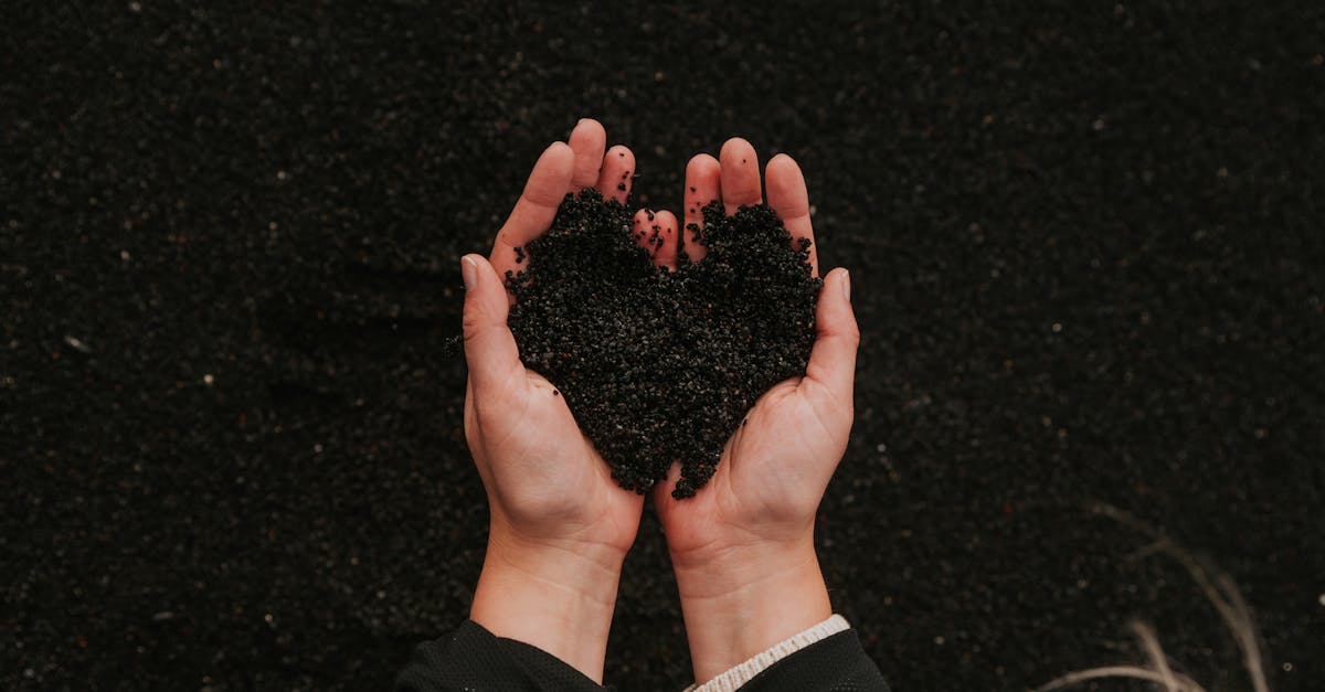 A close-up of hands holding black sand in a heart shape, symbolizing care for nature.